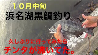 浜名湖黒鯛釣り。１０月中旬の奥浜名湖で