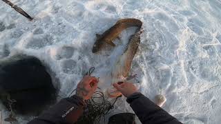 Рыбалка Налим,опять мороз..(40)