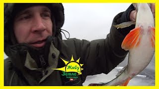 10км по льду. Как ищется трофейная рыба :). Зимняя рыбалка.