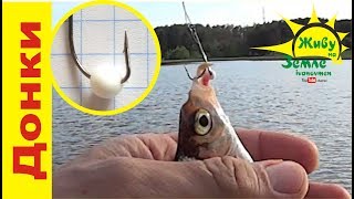 Огромные крючки! Рыбалка на ДОНКИ на пенопласт.  Ловится любого размера рыба.