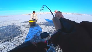 рыбалка зимой 2020 ТОЛЬКО ЗАКИНУЛ БАЛАНСИР СРАЗУ УДАР И БОНУС
