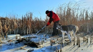первый лед 2019-2020 зимняя рыбалка САЧКОМ ТУТ ТОННЫ РЫБЫ