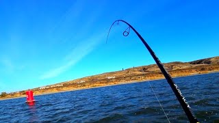 Рыбалка в ноябре 2019 ЗАКИНУЛ ПРИМАНКУ ПОД БАКЕН И НАЧАЛОСЬ