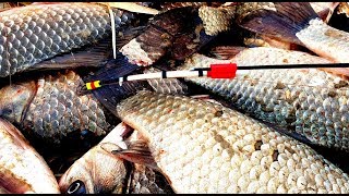 рыбалка на мормышку 2019-2020 ДВЕ РЫБИНЫ НА ОДИН КРЮЧОК ЖОР КАРАСЯ НА МОРМЫШКУ