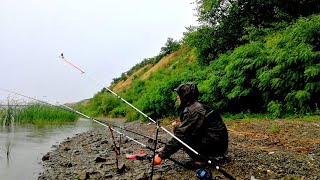 Рыбалка в дождь летом ПОТЕРЯЛИ НАДЕЖДУ НО ОН КЛЮНУЛ !!! (отзывы ТК ПЭК)