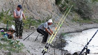 Рыбалка на сазан на ДОНУ ЛОВЛЯ НА СОСКИ САЗАНА