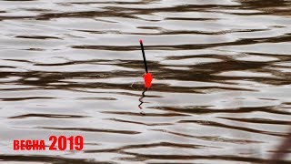 Рыбалка 2019 весной Ловля карася на поплавок весной КАРАСЬ ЛЕЗЕТ НА БЕРЕГ