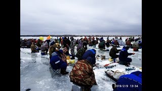 Рыбалка зимой 2019 БЕШЕНЫЙ КЛЕВ РЫБА ЗАСТРЕВАЕТ В ЛУНКЕ!!! ПОДХОДЯТ ШАКАЛЫ УТОПИЛ КАМЕРУ