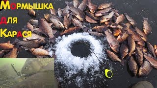 Зимняя рыбалка 2018 ГЛУБИНА 30см В ЭТОЙ ЛУЖЕ ловля карася зимой