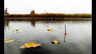 Рыбалка в ноябре на поплавок Ловля КАРПА И КАРАСЯ