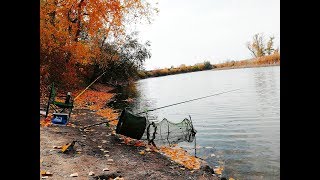 Рыбалка осенью 2018 на поплавок ловля карася и карпа НА ЧТО  ЛОВИТЬСЯ ОСЕНЬЮ