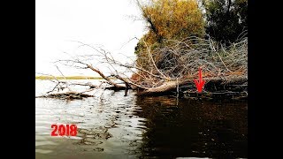 Рыбалка осенью 2018  Пол мешка рыбы из под дерева