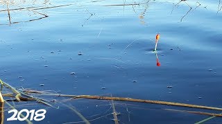 Рыбалка 2018 весной на поплавок  ОПЯТЬ ЗАБРАЛИ ВСЮ РЫБУ