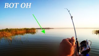 Рыбалка на карпа на фидер летом 2017- Рыбалка на видео