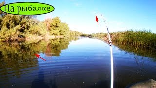 Рыбалка на  поплавочную удочку  хороший улов и наглый Рак 2017   Рыбалка на видео