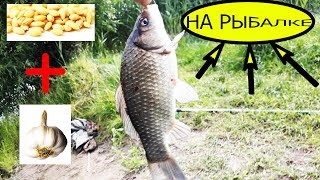 Рыбалка на карася рыбалка на видео