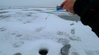 ВЫ ТАКОЕ ВООБЩЕ ВИДЕЛИ НА РЫБАЛКЕ рыбалка на водохранилище зимой 2021