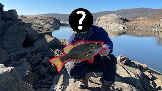 MOST EPIC Bank Fishing ADVENTURE of my Life!!! (A Story of Defeat & Triumph)