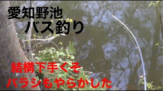 愛知野池でバス釣り。セコ釣りでしか釣れん人は