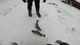 Рыбалка в ГОРАХ!Снегоходная ЖЕСТЬ..(день первый..)