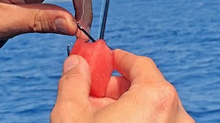 Catching Fish with Watermelon #Shorts