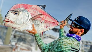 GIANT African Pompano - Clean & Cook