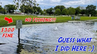 $300 FINE IF YOU FISH IN THIS TINY POND!!! (Located in MIDDLE of a PARK, WTF?!)