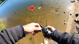 SNIPING Bass from ULTRA CLEAR WATER!!! (Bank Fishing ADVENTURE)
