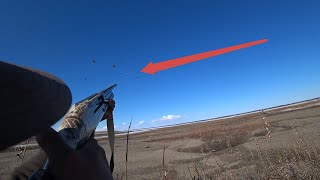 Охота на гуся в Якутии 1 серия