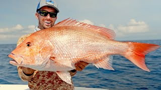 Opening Day of Red Snapper Fishing in Alabama
