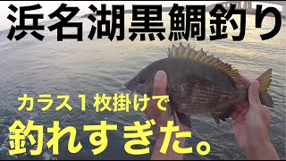 浜名湖黒鯛釣り。１枚カラスでポンポン釣れた日の続き