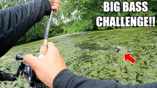 INTENSE 1V1 Topwater Fishing Challenge!!! (LOSER EATS LIVE CICADA)