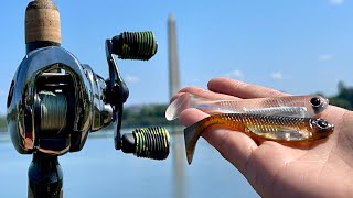 Fishing REALISTIC Lures in the Washington DC TIDAL BASIN!!! (ft. A PRO BASS ANGLER)