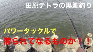 田原テトラで黒鯛前打ち釣り。