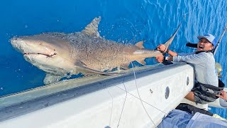 Lizzy Capri Catches BIGGEST FISH