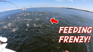 CRAZIEST FISHING OF MY LIFE!!! (Chesapeake Bay MADNESS)