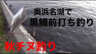 奥浜名湖で秋の黒鯛釣り。