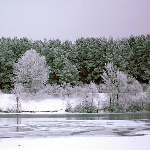 А ведь вчера были морозы......