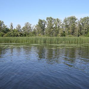 Волга