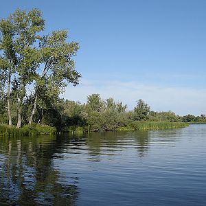 Волга