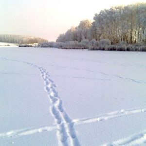 -28 Кашкаровский