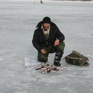 приехали за судаком