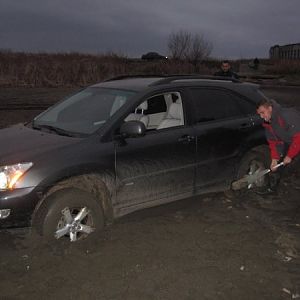 в погоне за рыбой