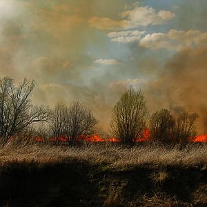 Уже ставшые обычным зрелищем весенние палы