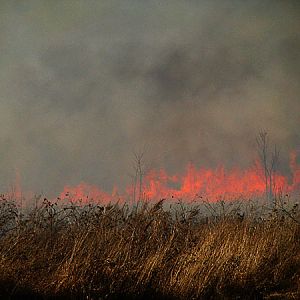 Уже ставшые обычным зрелищем весенние палы