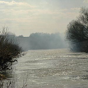 "А лисички
Взяли спички, 
К морю синему пошли, 
Море синее зажгли." 

помните этот стишок  из детства?