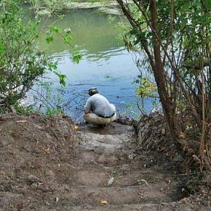 Вот такие ступеньки вырублены в берегу для забора воды...