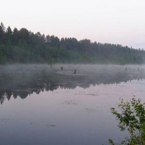 Раннее утро на Белой - наверное здесь живут русалки...
У Игоря Северянина хорошо описано это состояние...
"...поплавок готовый кануть в воду, 
и стихи - в бездонность пустоты..."