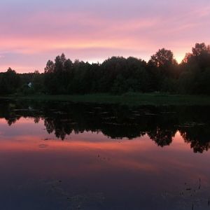 Помните у Игоря Северянина:
"...и сочным вечером, когда он палев..." или "В закатный час опять алеет..."