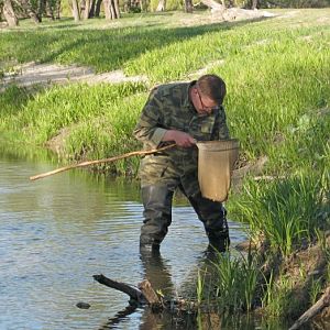 Научные исследования проводятся и специальным водным сачком. Здесь попадается всякая интересная мелочь....